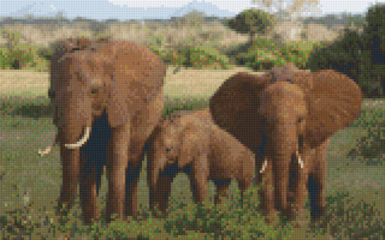Elephants Eight [8] Baseplate PixelHobby Mini-mosaic Art Kit
